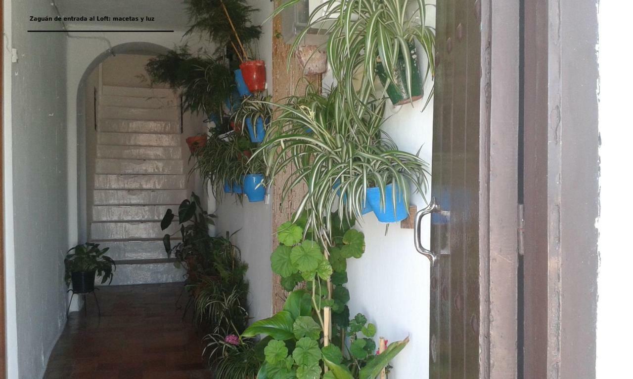 Dos Casitas, Dos Calles, - Loft De La Morena O Estudio Jr Vejer de la Frontera Kültér fotó